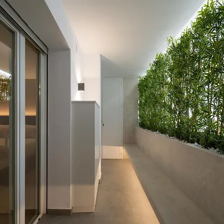 Apartment Carrera De La Virgen Boutique Granada